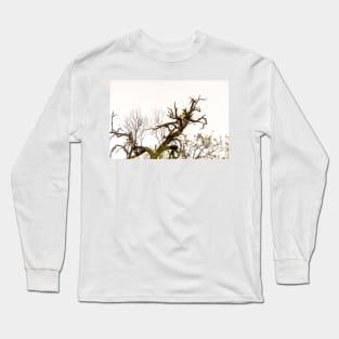 Cactus Growing In a Tree Long Sleeve T-Shirt